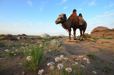 Mongolia-Gobi Steppe-Eastern Gobi Trail